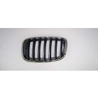 X5 Kidney Grill LHS (E70) 2007-2010