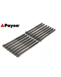 E30 Cylinder Head Bolt Set Payen 6cyl 83-