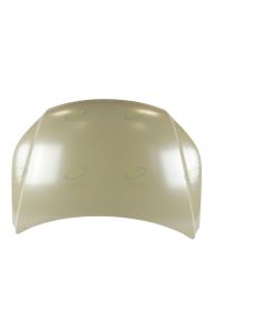TIGUAN BONNET 08-15