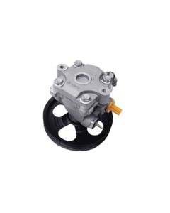 Chev Utility Power Steering Pump 2012-2022