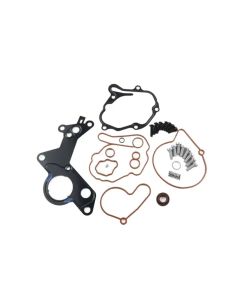 Polo / Golf 4 / 1.9 2.0TDI Vacuum Pump Repair Kit