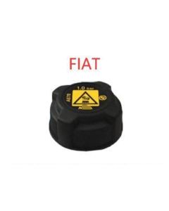 Fiat Water Bottle WM2479