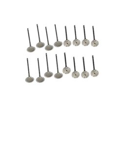 Engine valve 16pc Polo 1.2tsi cjz 