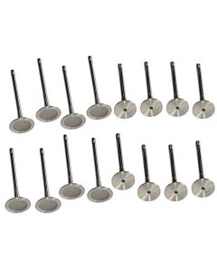 Golf 6/ Passat B6/B7 Engine Intake & Exhaust Valves AHF (16 Pieces)